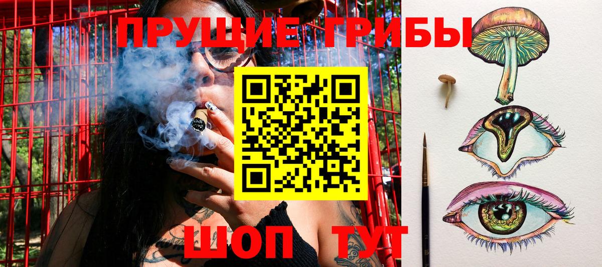 Кулебаки  Галлюциногенные грибы Cubensis  Вход с VPN  Галлюциногенные грибы Psilocybine cubensis 